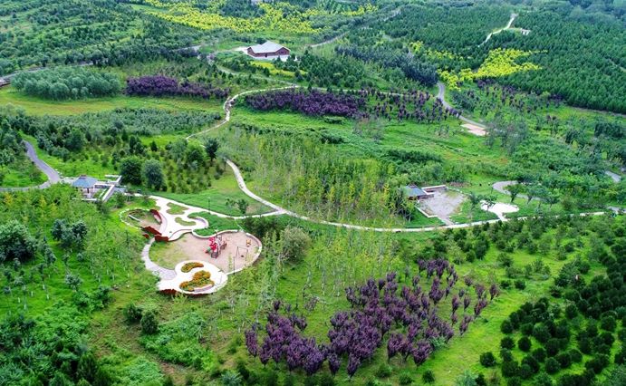 防患未“燃”，房山筑牢森林“防火墻”！