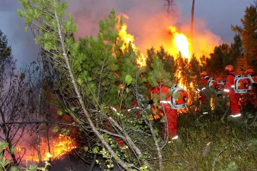 增加森林防火知識，我們不能掉以輕心
