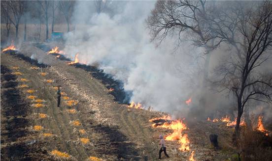 科學治理秸稈燃燒，共同守護綠水青山