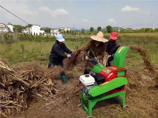 狠抓秸稈禁燒，我們這么干！