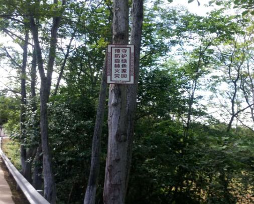 如何做好夏季森林防火工作？洛帶有這四大妙招