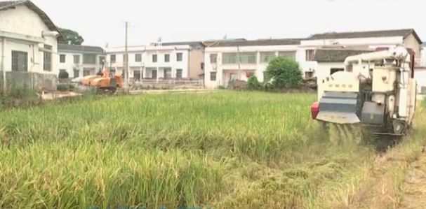 秸稈焚燒，NO！這個神器了解一下，湘鄉(xiāng)安排180萬資金全面推廣