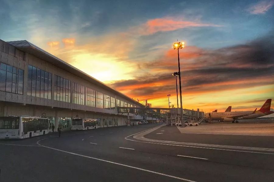 鳥是人類的益友，然而對機場而言......