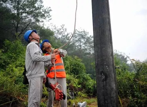 白露已過，秋天來襲，不怕不怕，有我在