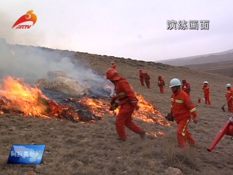 人防+技防，賀蘭山森林防火工作上了雙保險(xiǎn)