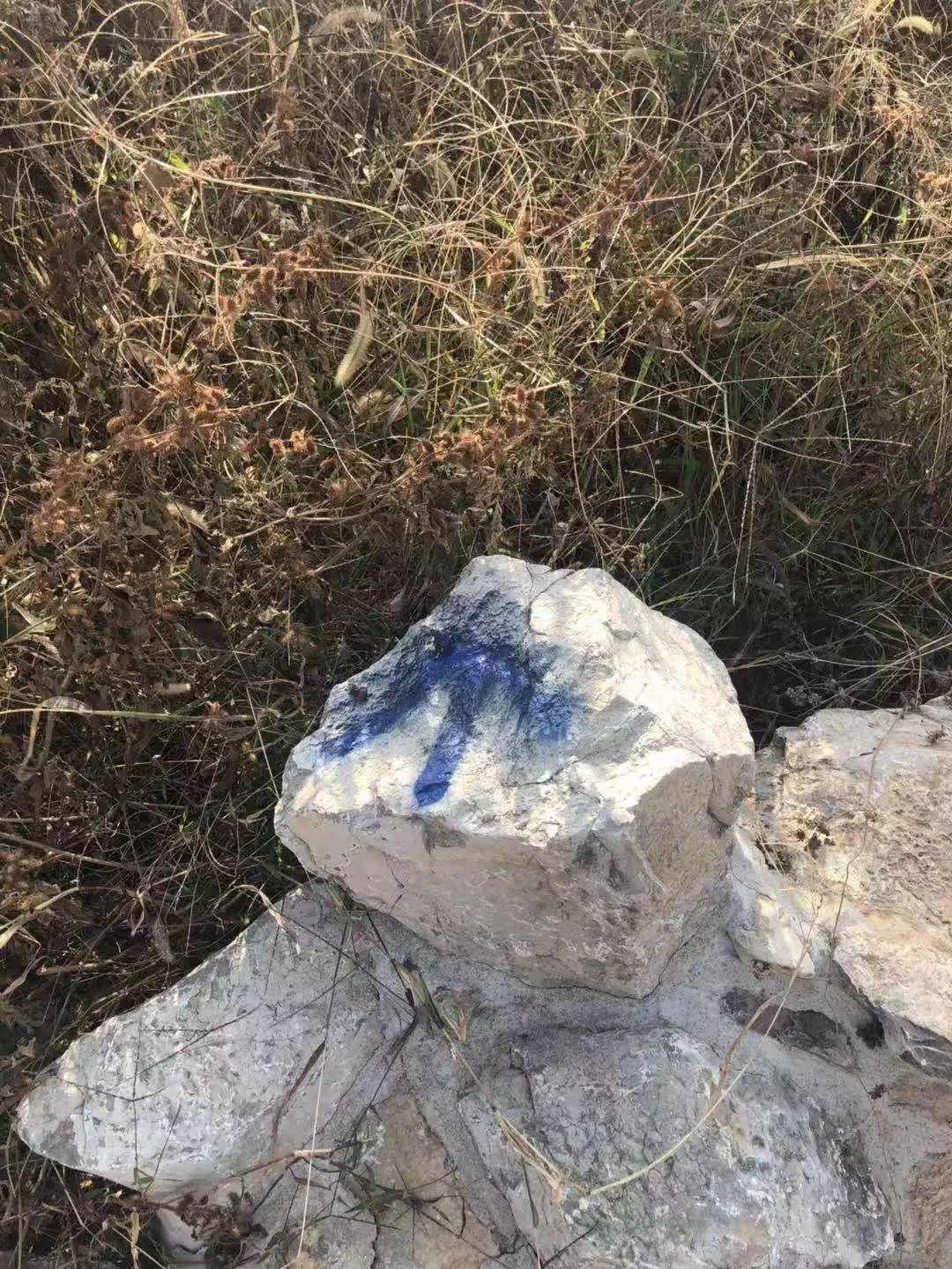 七賢街道完成森林防火卡口監(jiān)控設(shè)備安裝、選址工作