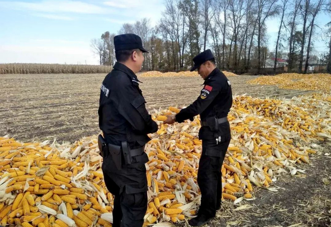 禁燒秸稈走田間、共鑄警魂保藍(lán)天