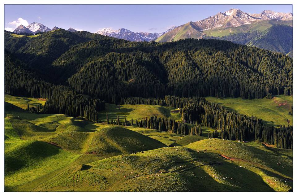 光電轉(zhuǎn)臺(tái)、無(wú)人機(jī)······環(huán)境檢測(cè)領(lǐng)域里的“黑科技”