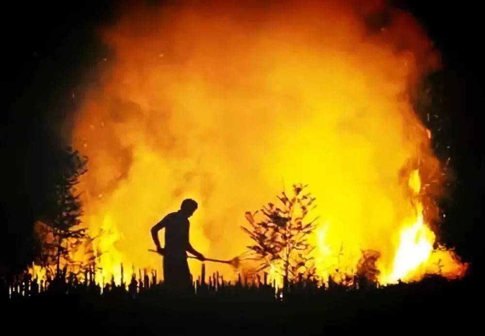 如何看待美國(guó)加州大火？怎樣有效防止森林火災(zāi)蔓延成人間悲??？