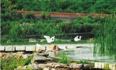 這樣的石景山,實(shí)現(xiàn)林區(qū)視頻和煙火識別系統(tǒng)無死角監(jiān)控