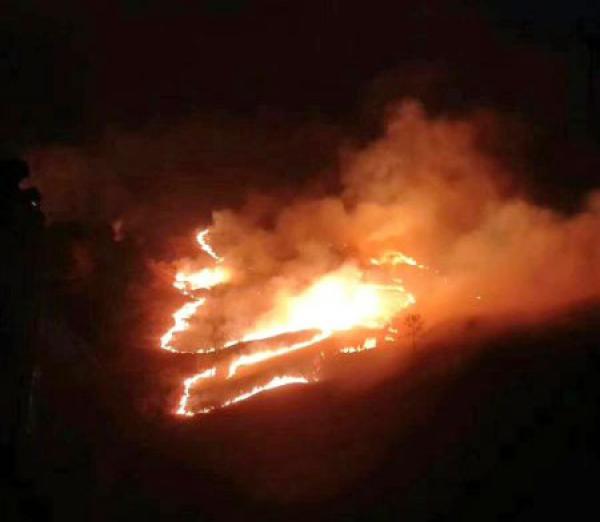 四川甘孜藏族自治州境內(nèi)發(fā)生較大面積森林火災(zāi)，消防撲救