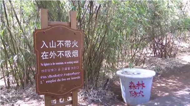 贊！雞足山景區(qū)連續(xù)35年無(wú)森林火災(zāi)，因?yàn)樗麄?..