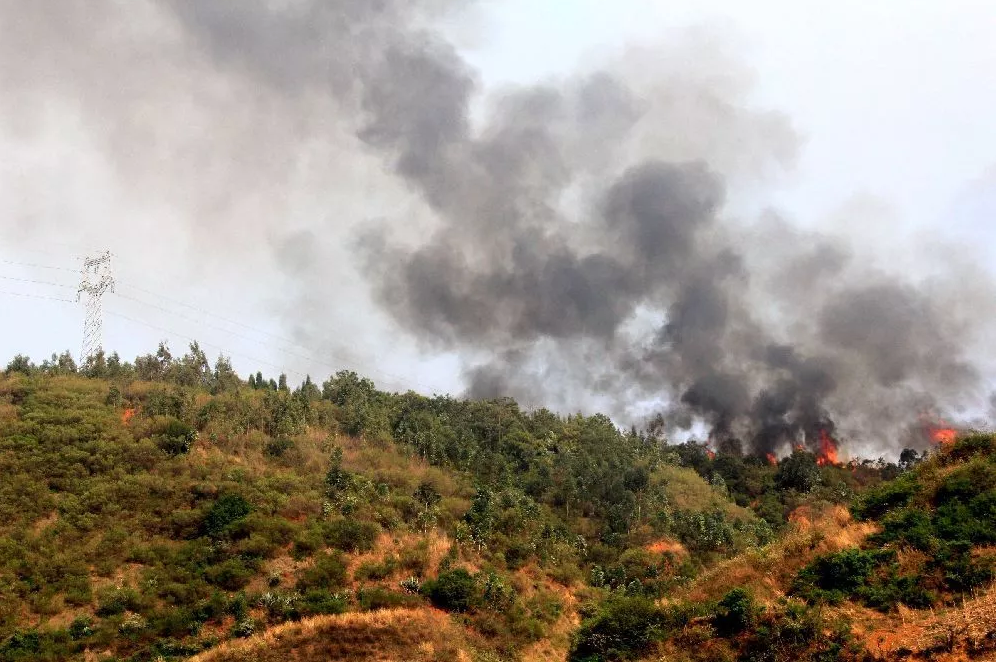 當(dāng)大風(fēng)遇上山火，看電網(wǎng)人亮“神器”出絕招！