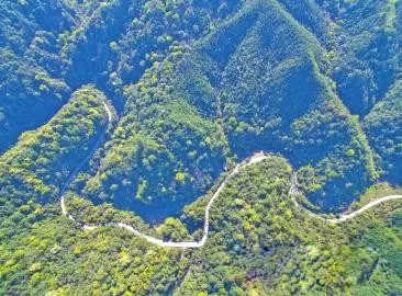 智能化，讓森林防火監(jiān)控管護(hù)更“智慧”