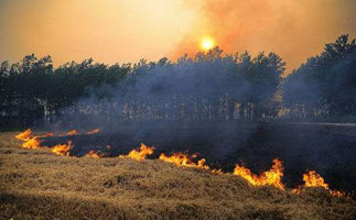 注意！千萬‘別點(diǎn)火’文安實(shí)現(xiàn)秸稈禁燒監(jiān)控全覆蓋