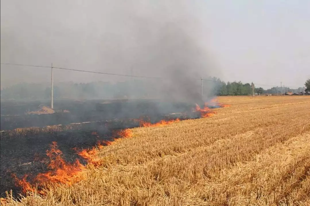 全方位、全覆蓋、無縫隙、實(shí)時(shí)監(jiān)控！夏收的秸稈你別燒！