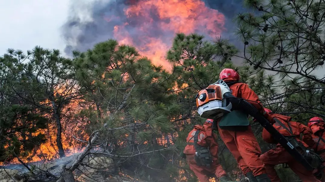 當(dāng)心“火星”變“火?！?，森林火災(zāi)防控需要智慧化硬科技