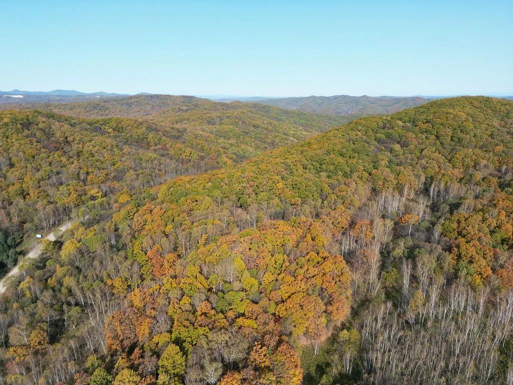 針對(duì)40000畝森林，如何選擇森林防火遠(yuǎn)距離監(jiān)控?cái)z像機(jī)