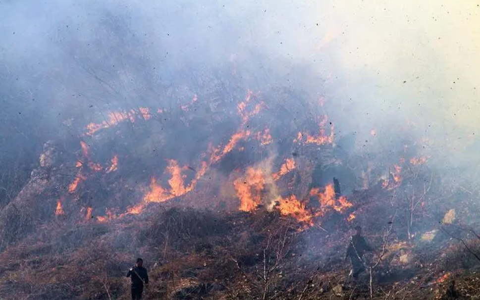 美國山火讓我們清楚，森林火災(zāi)視頻監(jiān)控云臺攝像機的布設(shè)是十分必要的