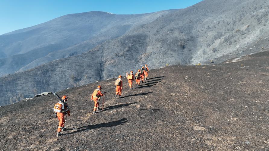 精準(zhǔn)監(jiān)測(cè):3公里云臺(tái)攝像機(jī)賦能高塔森林防火，實(shí)現(xiàn)火勢(shì)實(shí)時(shí)分析預(yù)警