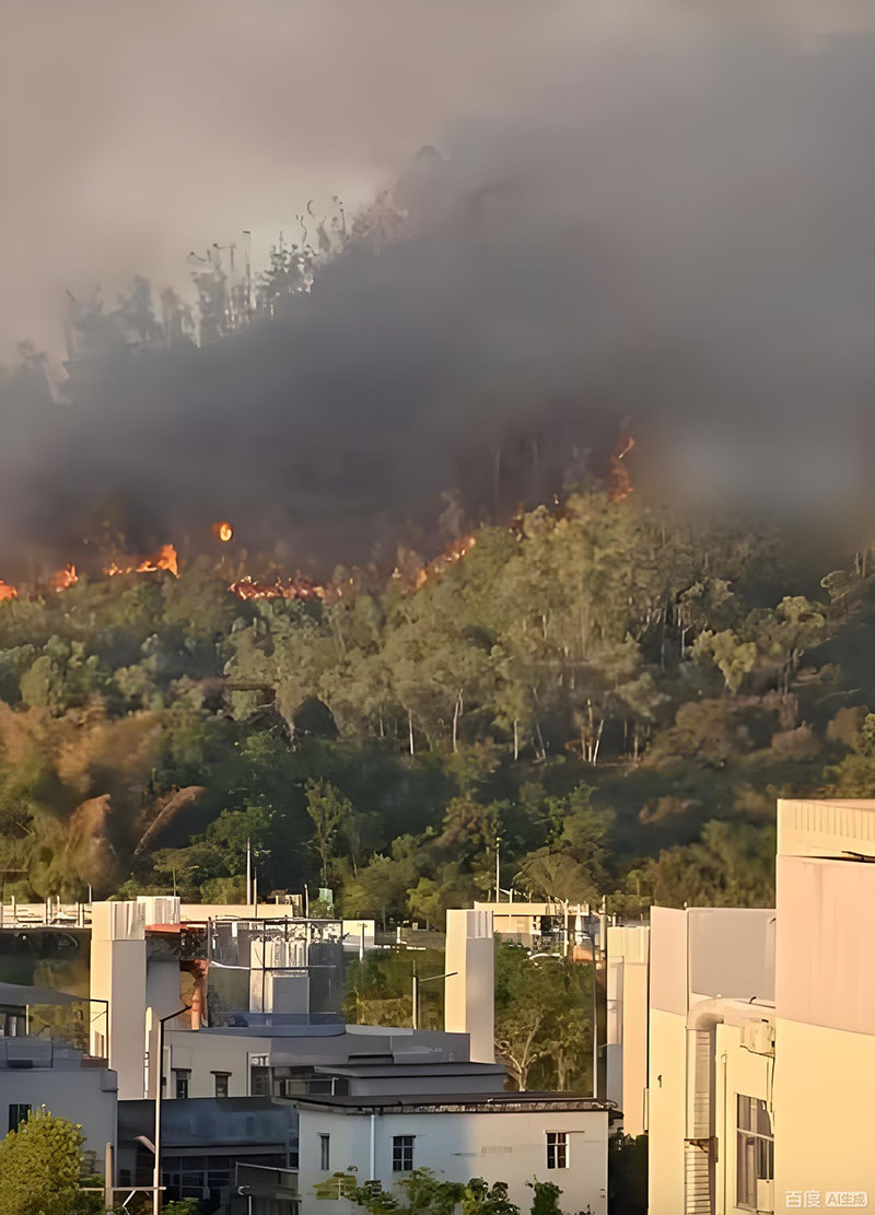 森林防火項目實施方案